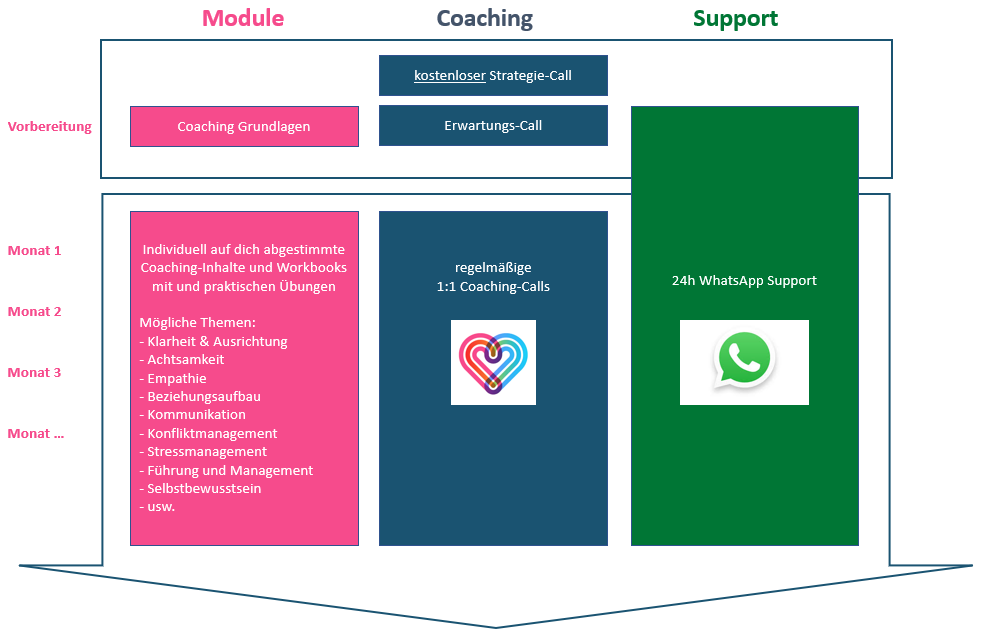Übersicht_Mentoring Mentoring Module